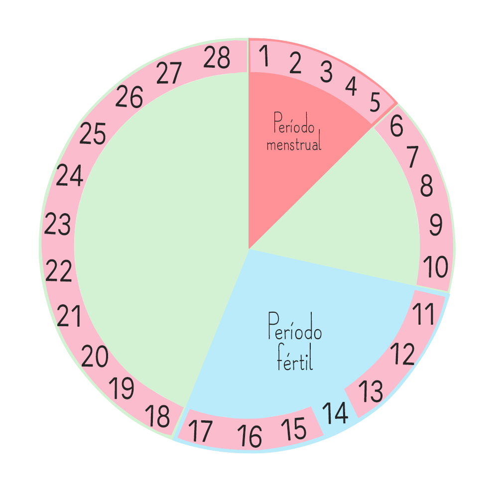 Gosto Explicar Fundamentos Ciclo Menstrual Dias Calcular Delinquência E Equipe Comestível 1889